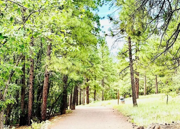 Cozy * Flagstaff